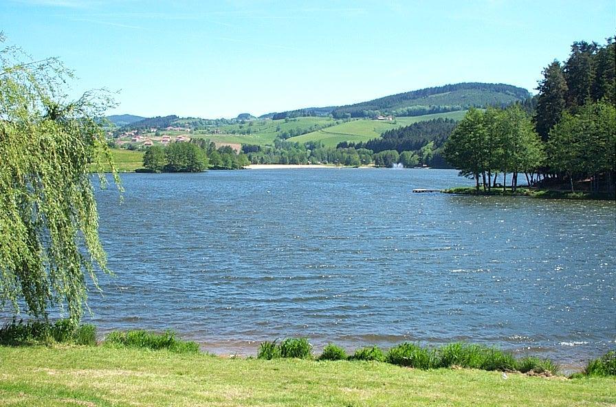 Le Clos Fleuri Bourg-de-Thizy Exteriör bild